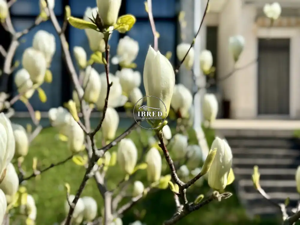 Budapest, XII. kerület - Budakeszierdő