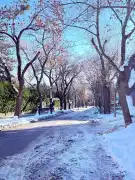 Budapest, XII. kerület - Orbánhegy