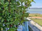 Somogy megye - Balatonszemes